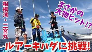 【相模湾マグロキャスティング】ルアーキハダに挑戦!!カツオ祭り⁉︎まさかの大物ヒット⁉︎【二宮丸】【マグロ釣り】참치 낚시