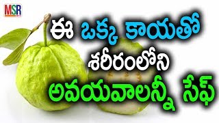 జామపండు ఆరోగ్య రహస్యాలు | Ultimate Health Benefits Of Guava  | MSR TV