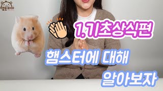 [햄토피아] 1.기초상식편! 햄스터에 대해 알아볼게요♥머루 출연