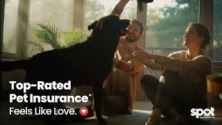 Spot Pet Insurance | Pet Insurance That Feels Like Love