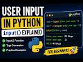 User Input in Python | Python Input Function Explained for Beginners