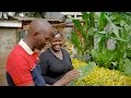 Intergrated Farming - Seeds Of Gold TV Season 1 Episode 3