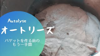 【パン作り】オートリーズってなに？【バゲット】