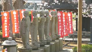 六地蔵寺（水戸大師）の境内