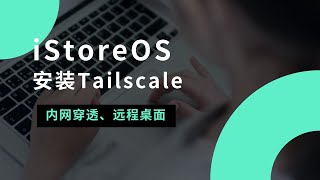 在软路由/iStoreOS上安装Tailscale实现内网穿透、异地组网、远程访问，点对点传输，更好的使用体验，超稳定！轻松打通内外网！群晖、威联通NAS，替代zerotier#一瓶奶油