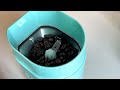 satisfying relaxing sounds videos the perfect fusion of coffee_black tea and ice cream