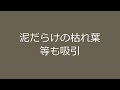 アリを大量吸引捕獲する簡易集塵装置（掃除機使用）