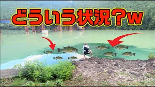 濁りとクリアが混ざりしときの爆発力【8月9月の釣り】