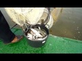 fishing on albufera lake near valencia spain.