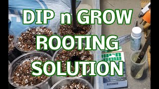 Dip n' Grow Liquid Rooting Concentrate Kit