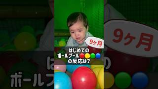 【8ヶ月】初めてのボールプール🔴🔵🟡の反応は、、、？ #りいきあ #海外移住 #philippine #育児 #baby #赤ちゃん #ほっこり #vlog #9ヶ月#成長#shorts