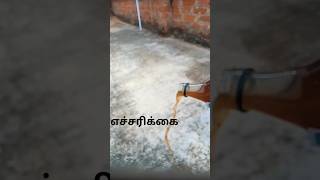 ஏன் இந்த பரிதாப நிலை.. விழித்துக் கொள் மனிதா...