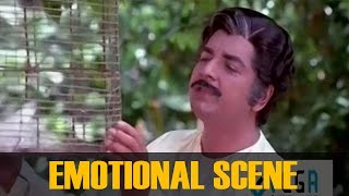 Prem Nazir and Manochitra Emotional Scene ||  Mazha Nilaavu