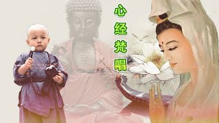 Mantra for Buddhist, Sound of Buddha | Buddhism Songs - Namo amituofo - Tibetan buddhism