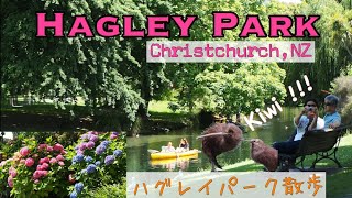 Walking in Hagley Park Christchurch, New Zealand ハグレイパーク クライストチャーチを散歩 ニュージーランド南島