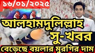 কিছু টা বেড়েছে বয়লার মুরগির দাম : ১৬/০১/২০২৫ বয়লার ও সোনালী মুরগির পাইকারি বাজার : 16 January 2025