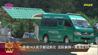 【再有14人死于新冠肺炎  活跃病例一周涨近30%】 [20220206]