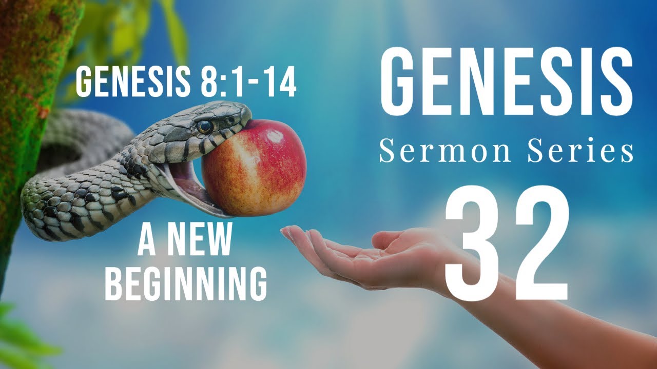 Genesis Sermon Series 32. A New Beginning. Genesis 8:1-14. Dr. Andy ...