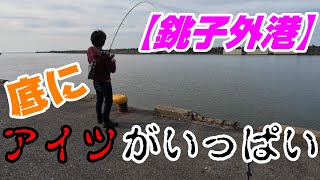 そこにはやつがいる【銚子外港】千葉県外房