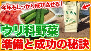 家庭菜園や農園のウリ科野菜でスイカ・南瓜・きゅうり栽培準備と成功の秘訣！【農家直伝】Tips for making soil for Cucurbitaceous vegetables in Apr.