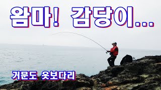 왐마! 감당안된다#거문도동도 #긴꼬리벵에돔#참돔#여수