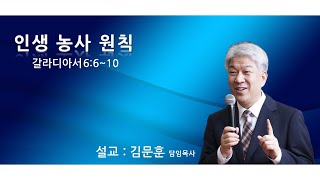 20200517 포도원교회 김문훈목사 갈6장 6절~10절 인생 농사 원칙