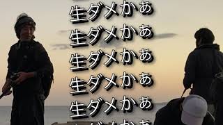 よし子さん生より釣れますよ！（伊東港　ルアー　泳がせ釣り　ダイペン　カンパチ　カマス　堤防）