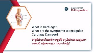 What is Cartilage? How to recognise cartilage damage? కార్టిలేజ్ అంటే ఎమిటి? | Prathima Hospitals