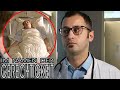 Vom Arzt zum MÖRDER: Patientin in Lebensgefahr! 💉👨‍⚕️ | 2/2 | Im Namen der Gerechtigkeit | SAT.1