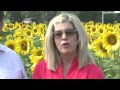 Field of sunflowers to remember child who died of cancer