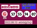 all lottery results 2022 08 13 nlb u0026 dlb ලොතරැයි ප්රතිඵල මෙතනින්