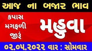 commodity price 02.05.2022 mahuva marketing yard na bhav | saurashtra ajna bajar bhav|commodity rate