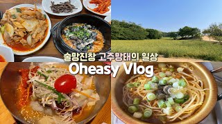 Vlog ) 술망진창일주일 속죄의 청계(단)산 🥂 열무국수 새우까스 우렁쌈밥 도토리묵 코다리외냉면 감자탕 라면 소주 맥주 청계산등산코스