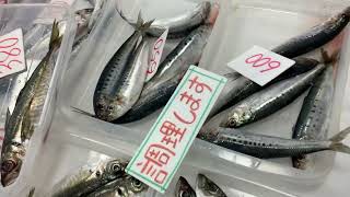 道の駅笠岡ベイファーム直売所鮮魚コーナー2／9