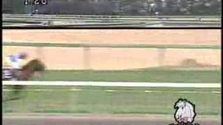 2006 Arima Kinen 有馬記念