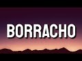 Sech & DJ Khaled - Borracho (Letra/Lyrics)