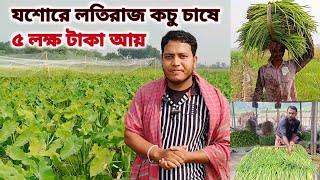 যশোরের লতিরাজ বারি ১ কচু চাষে ৫ লক্ষ টাকা আয় করছেন এই যুবক🔥লতি কচুর চাষ পদ্ধতি