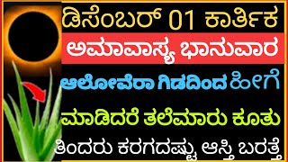 ಡಿಸೆಂಬರ್1 ಕಾರ್ತಿಕ ಅಮಾವಾಸ್ಯ ಭಾನುವಾರ ಅದ್ಭುತ ದಿನ ಆಲೋವೆರಾ ಗಿಡದಿಂದ  ಹೀಗೆ ಮಾಡಿ  ಕೋಟ್ಯಧಿಪತಿ ಆಗ್ತಿರ