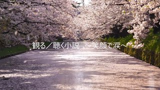 【観る／聴く小説】～笑顔で涙～　紹介用ムービー（Studio miraii♪）