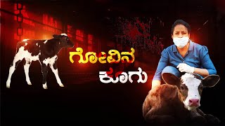 ಅಕ್ರಮ ಗೋಮಾಂಸ ಅಡ್ಡೆಗಳ ಮೇಲೆ ದಾಳಿ, !  Raid on illegal Cow slaughter house in Hassan | episode-part 2