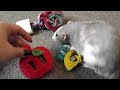 rat toy ideas