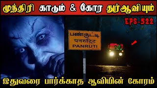 Real Life Ghost Experience in Tamil | முந்திரிக் காட்டில் ஆவியின் பயங்கரம் | Shiva's Investigation