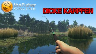 The Fisher Online Karpfen ab 10 Kg Position + Ausrüstung + Köder