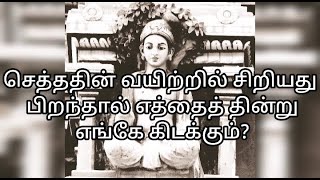 செத்ததின் வயிற்றில் சிறியது பிறந்தால் எத்தைத் தின்று எங்கே கிடக்கும்? (Tamil)