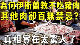 看完后终于明白了！為什麼伊斯蘭教不吃豬肉，其他肉卻百無禁忌？這個秘密實在是太可怕！【曉書說】