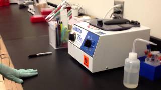 Specimen Processing 2