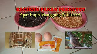 CARA MEMBUAT/ MERACIK PAKAN PERKUTUT AGAR BURUNG PERKUTUT MENJADI GACOR!!#Perkutut Lokal Gacor