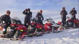 Unique Lapland Mountain Sledding