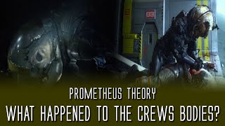 What Happened to the Bodies on LV-223? - Prometheus Theory