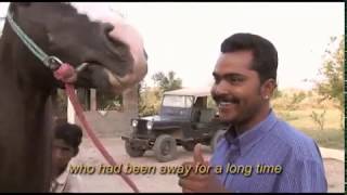 Out of Marwar: Horses and Their Men